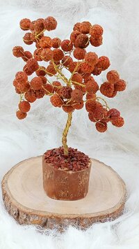 Rudraksha Beads Tree