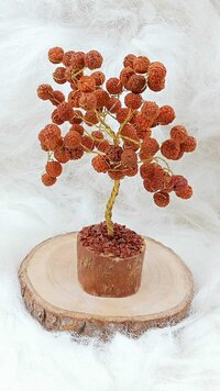 Rudraksha Beads Tree