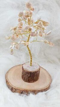 Gomti Chakra Tree - Color: White