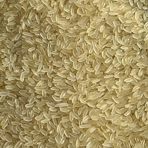 Common Swarna Rice