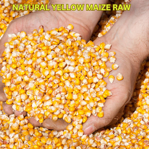 Natural Yellow Maize RAW