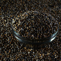 Natural Pearl MILLET BAJRA-Raw