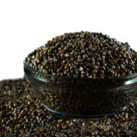 Natural Pearl MILLET BAJRA-Raw