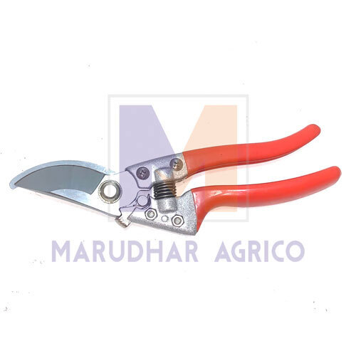 Pruning Shear