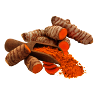 Natural Turmeric ( Haldi ) 2.6 Curcumin - Fingers - Color: Yellow