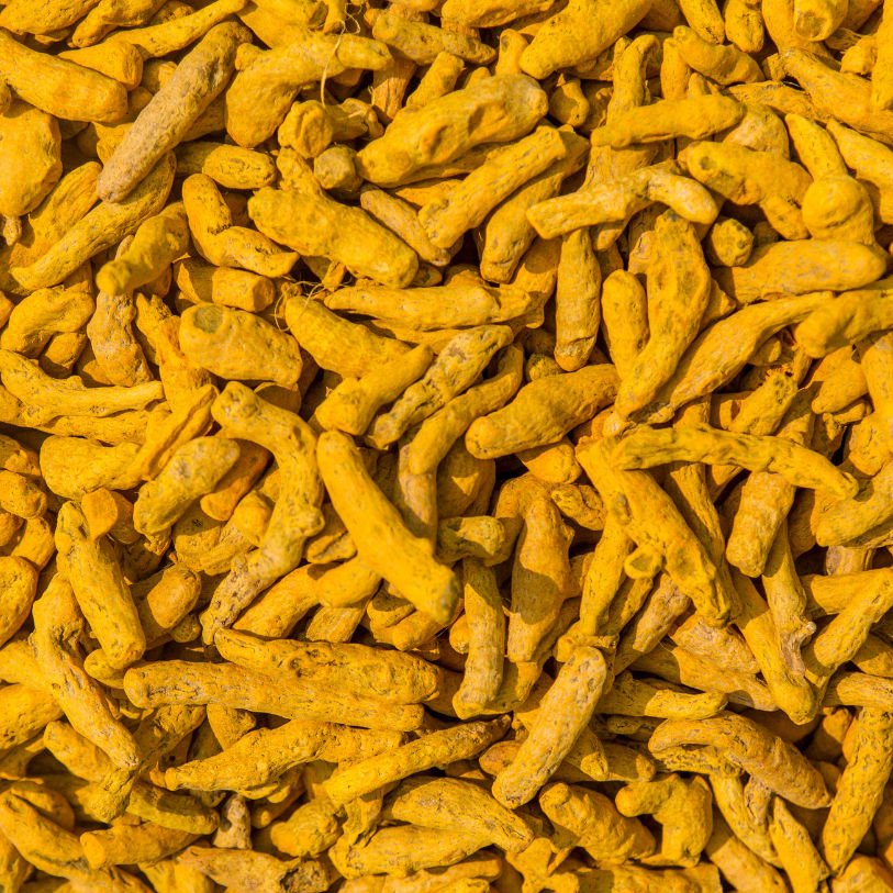 NATURAL TURMERIC ( HALDI ) 2.6 CURCUMIN - FINGERS