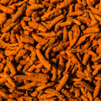 NATURAL TURMERIC ( HALDI ) 2.6 CURCUMIN - FINGERS