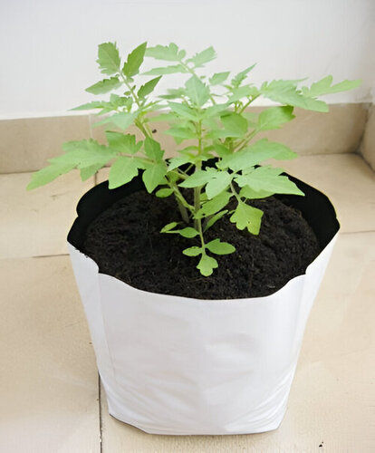 Uv Treated Poly Grow Bag Inside Black Outside White Size 20X20X35 Cm Film Thickness: 150 Millimeter (Mm)