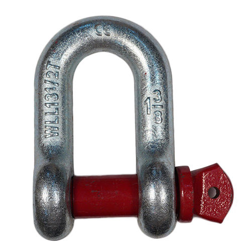 Silver D Shackle