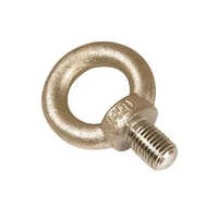 I Bolts Galvanized - M20, 8 Millimeter Diameter | Silver Finish for Industrial Use