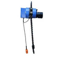 Motorized Chain Hoist - Color: Blue & Yellow