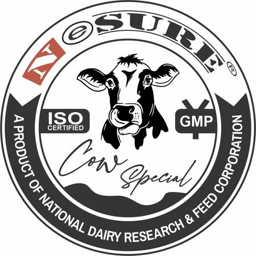 Cow Special Turmeric Oil