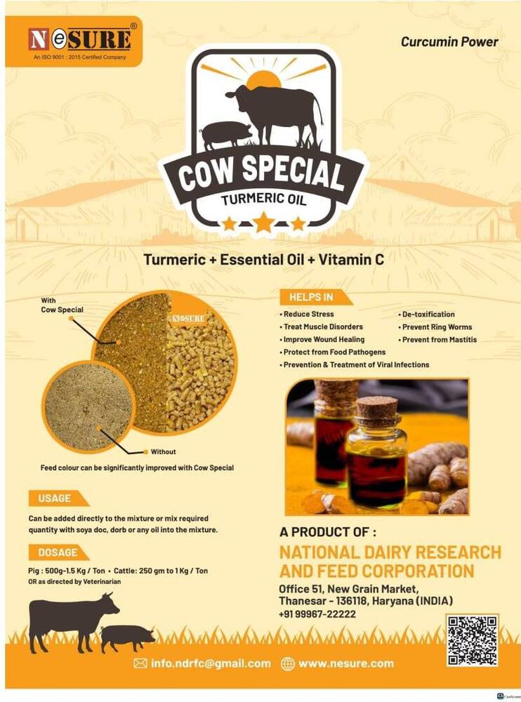 Cow Special Turmeric Oil - Color: Golden Yellow
