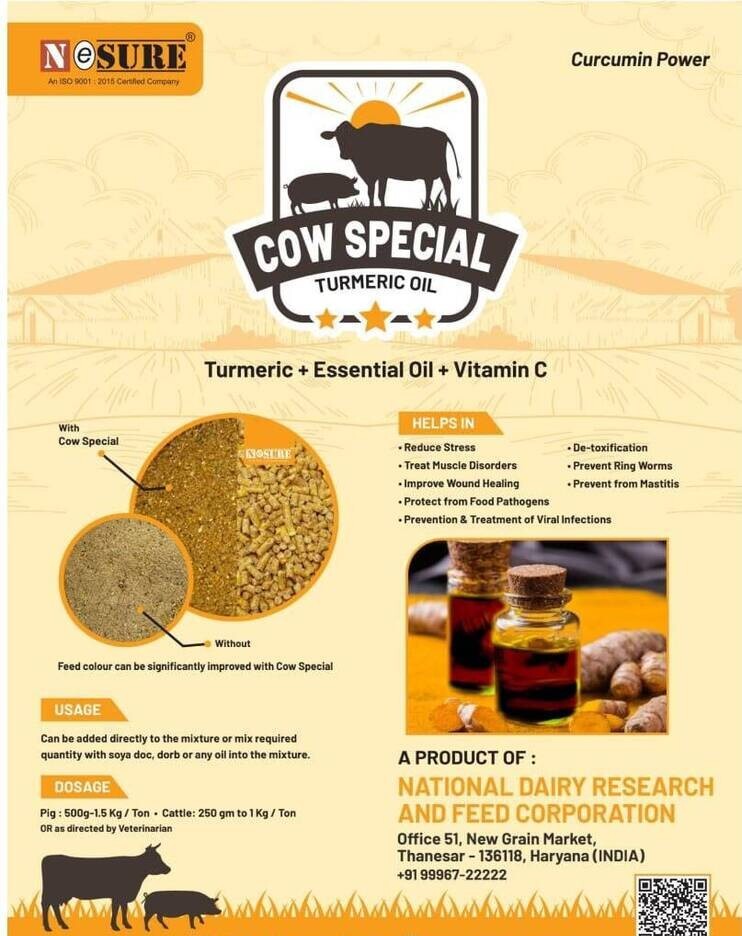 Cow Special Turmeric Oil - Color: Golden Yellow