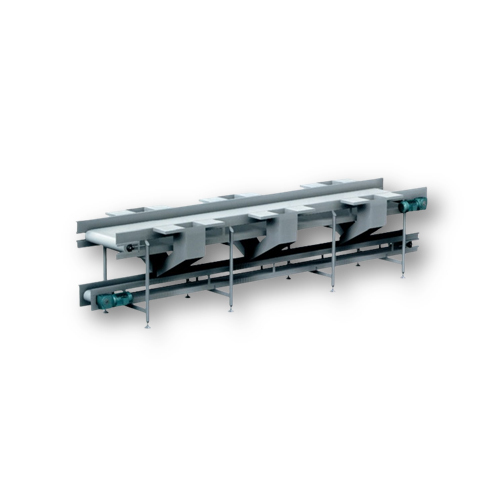 Sorting And Fruit Cutting Conveyor