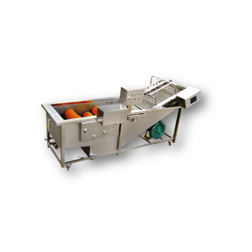 Fruit Washing Conveyour Type Machine