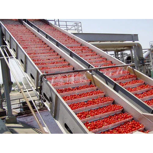 Tomato Ketchup Plant Processing Plaing
