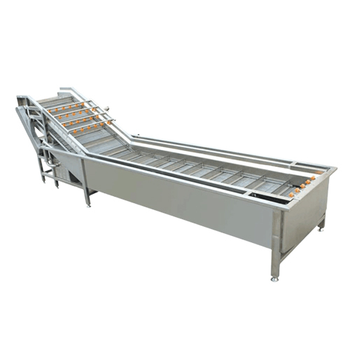 Semi Automatic Fruit Washing Plant