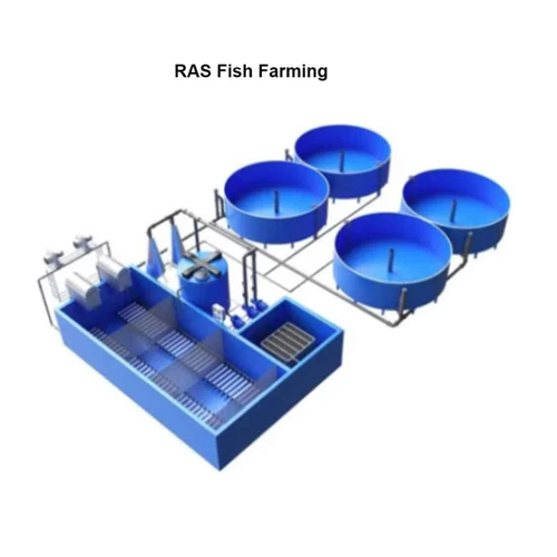 RAS Fish Farming