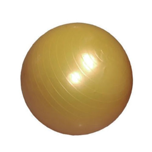 Anti Burst Gym Ball