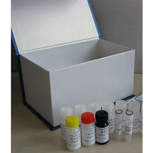 Pistachio Elisa Kit - Material: Plastic