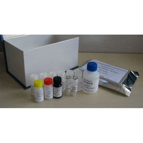 Casein Elisa Kit - Material: Plastic