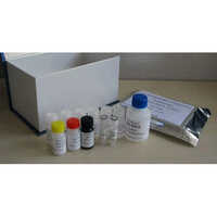 Casein Elisa Kit