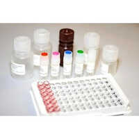 Aflatoxin B1 Elisa Kit