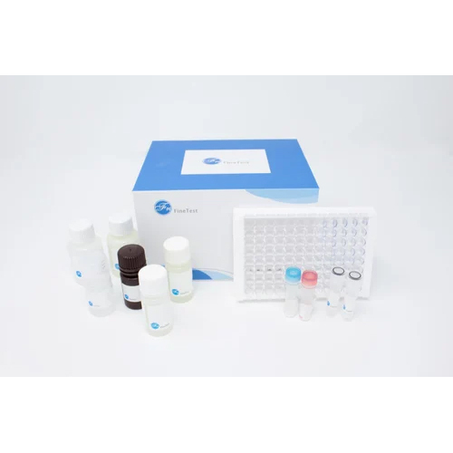 Deoxynivalenol (DON) ELISA Kit