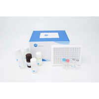 Medical Deoxynivalenol (DON) ELISA Kit