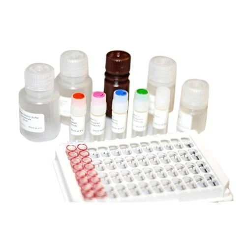 Chloramphenicolelisa Kit - Material: Plastic