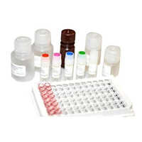 ChloramphenicolELISA Kit