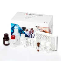 Folic Acid Elisa Kit - Plastic Material, Manual Operating Type | For Detection In Jams, Juices, Vitamin Capsules, Milk And Grain Products