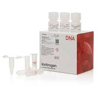 Medical DNA Extraction Kit