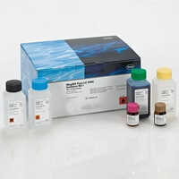 DNA And RNA Isolation Kits