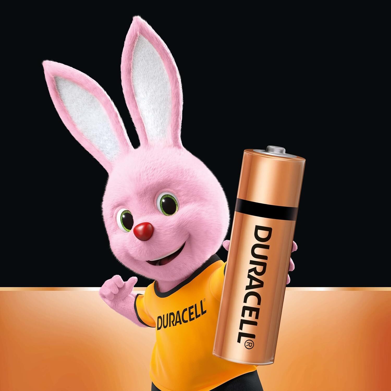 Duracell Alkaline AA Batteries, Pack of 10