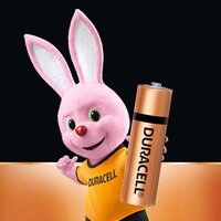 Duracell Alkaline AA Batteries, Pack of 10