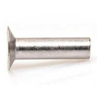 Silver Countersunk Head Rivet