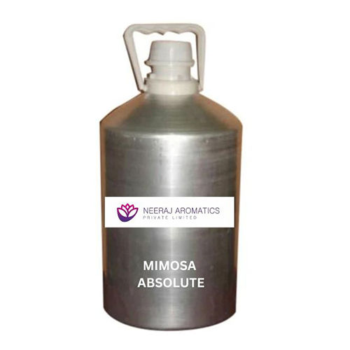 Mimosa Absolute Oil