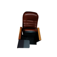 Folding Auditorium Chair