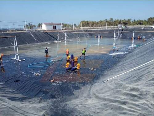 Hdpe Gril Brand Agriculture Pond Liners