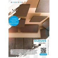 Acoustic Ceiling Cloud