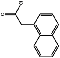 2-(naphthalen-2-yl)acetyl Chloride - Cas No: 37859-25-9