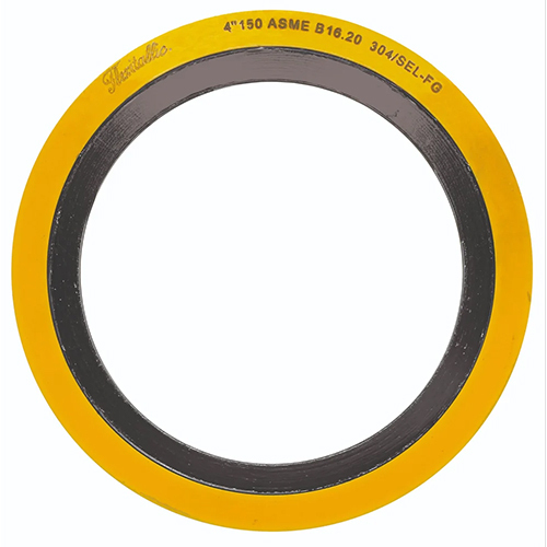 Cg Type Spiral Wound Gasket