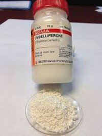 7 HYDROXYCOUMARIN