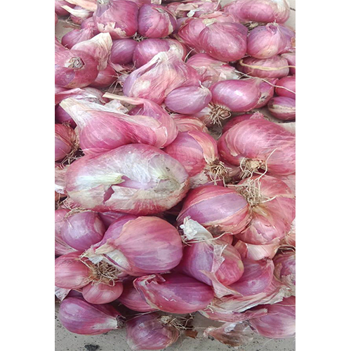Indian Sambar Onion - Raw Form, Natural Shape | Nil Moisture, Seasoned Style for Flavorful Cooking