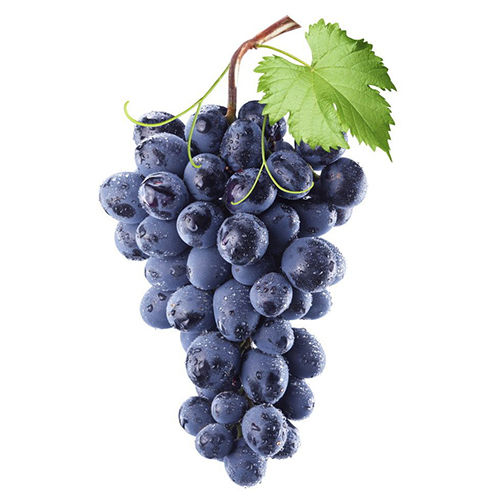 Fresh Grapes