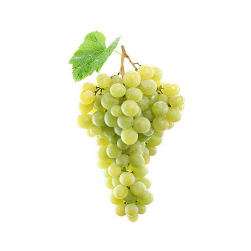 Fresh Organic Grapes