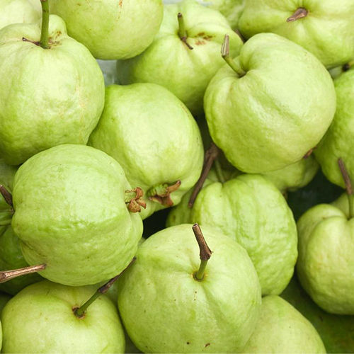 Fresh Guava