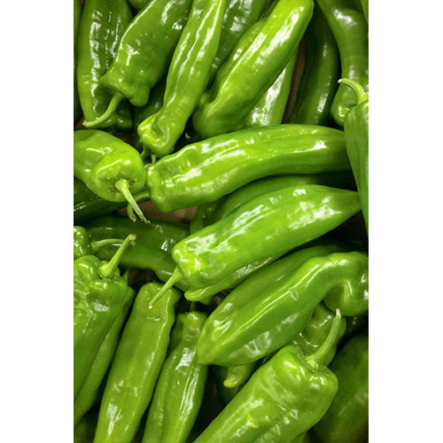 Green Chilli